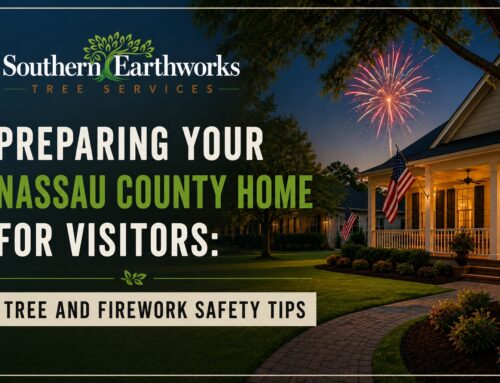 Preparing Your Nassau County Home for Visitors: Tree and Firework Safety Tips