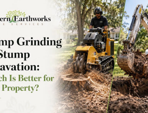 Stump Grinding vs. Stump Excavation: Which Is Better for Your Property?